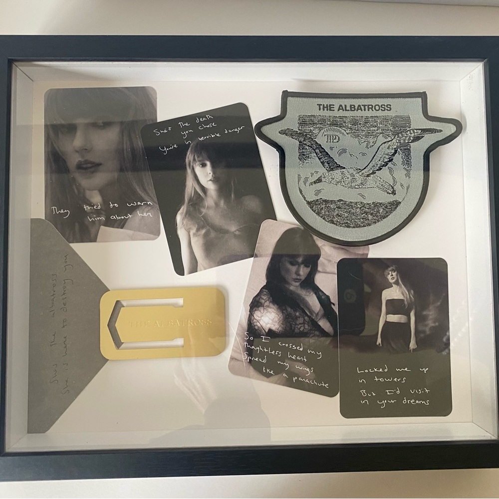 TTPD The Albatros artifacts shadow box
